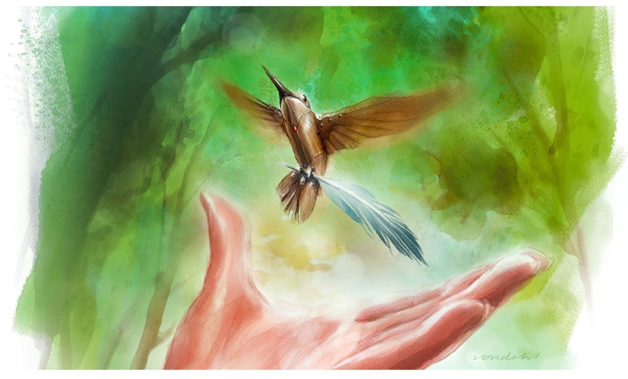 ‘Hummingbird’ by Will von Dehl